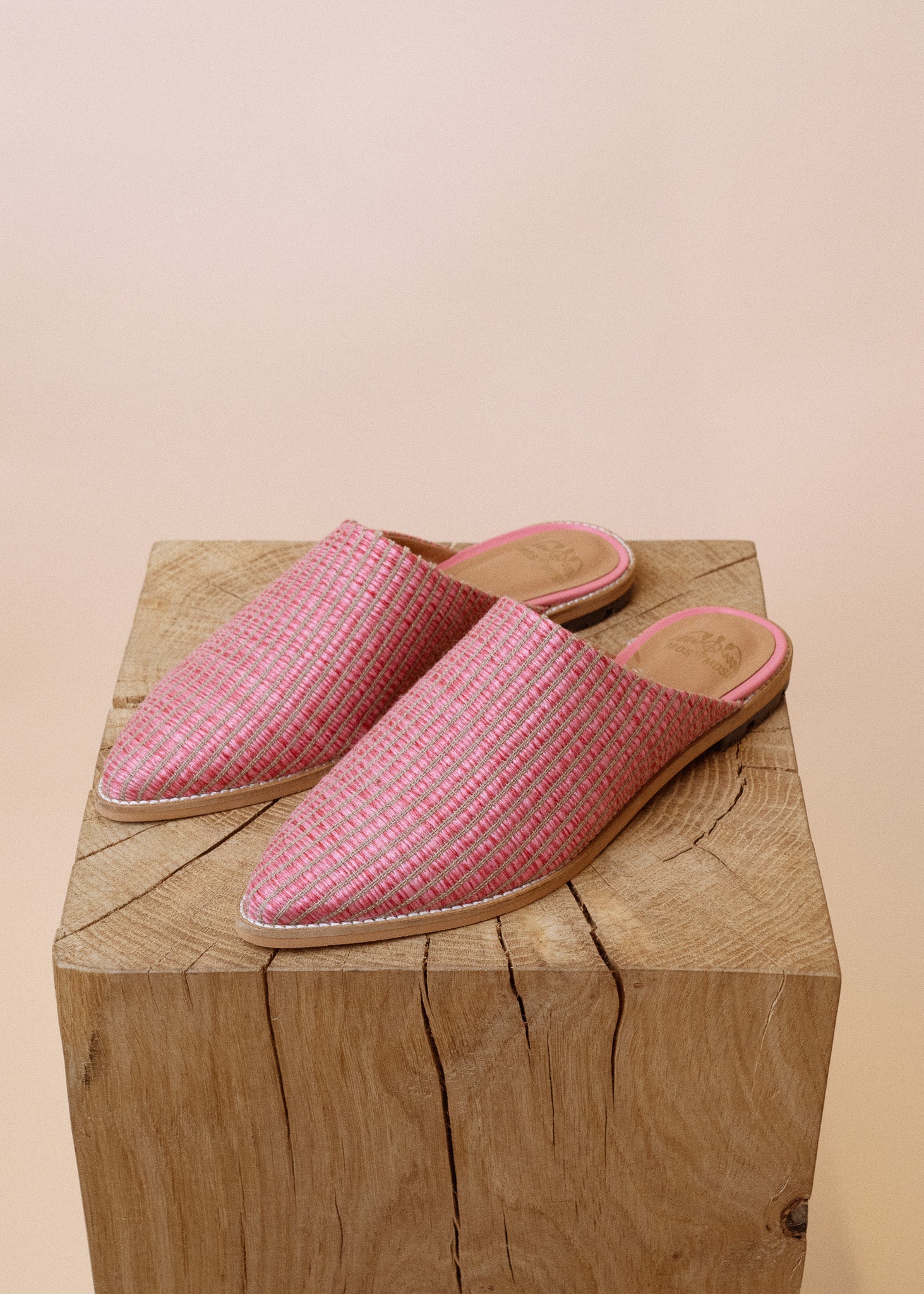 Modelshot / Camellia Rose / Detail